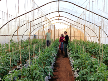 KLIMPALA Senegal greenhouse